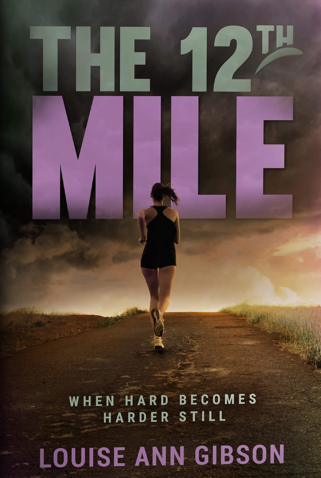 The 12th Mile - When hard become harder still by Louise Ann Gibson