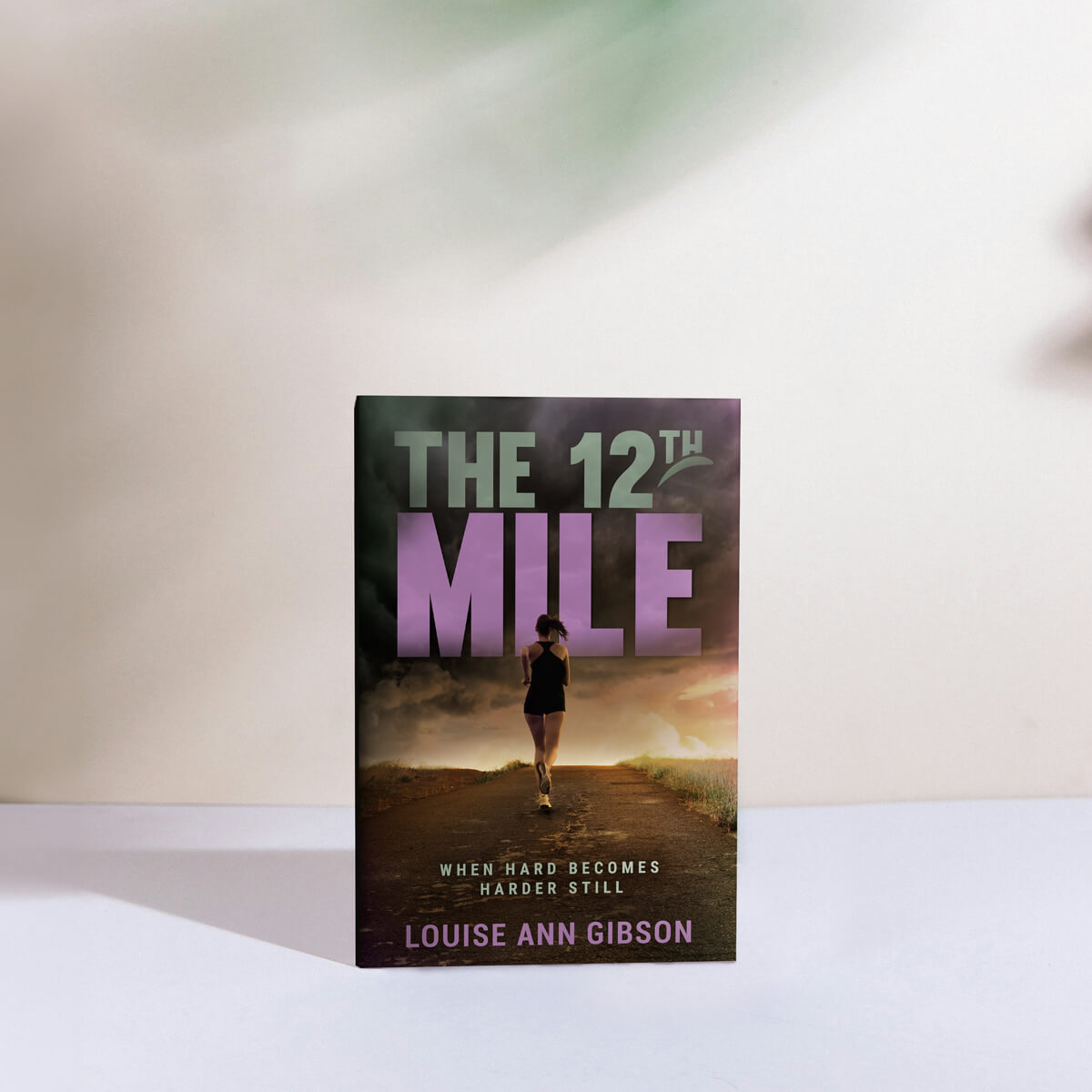 The 12th Mile - When hard become harder still by Louise Ann Gibson